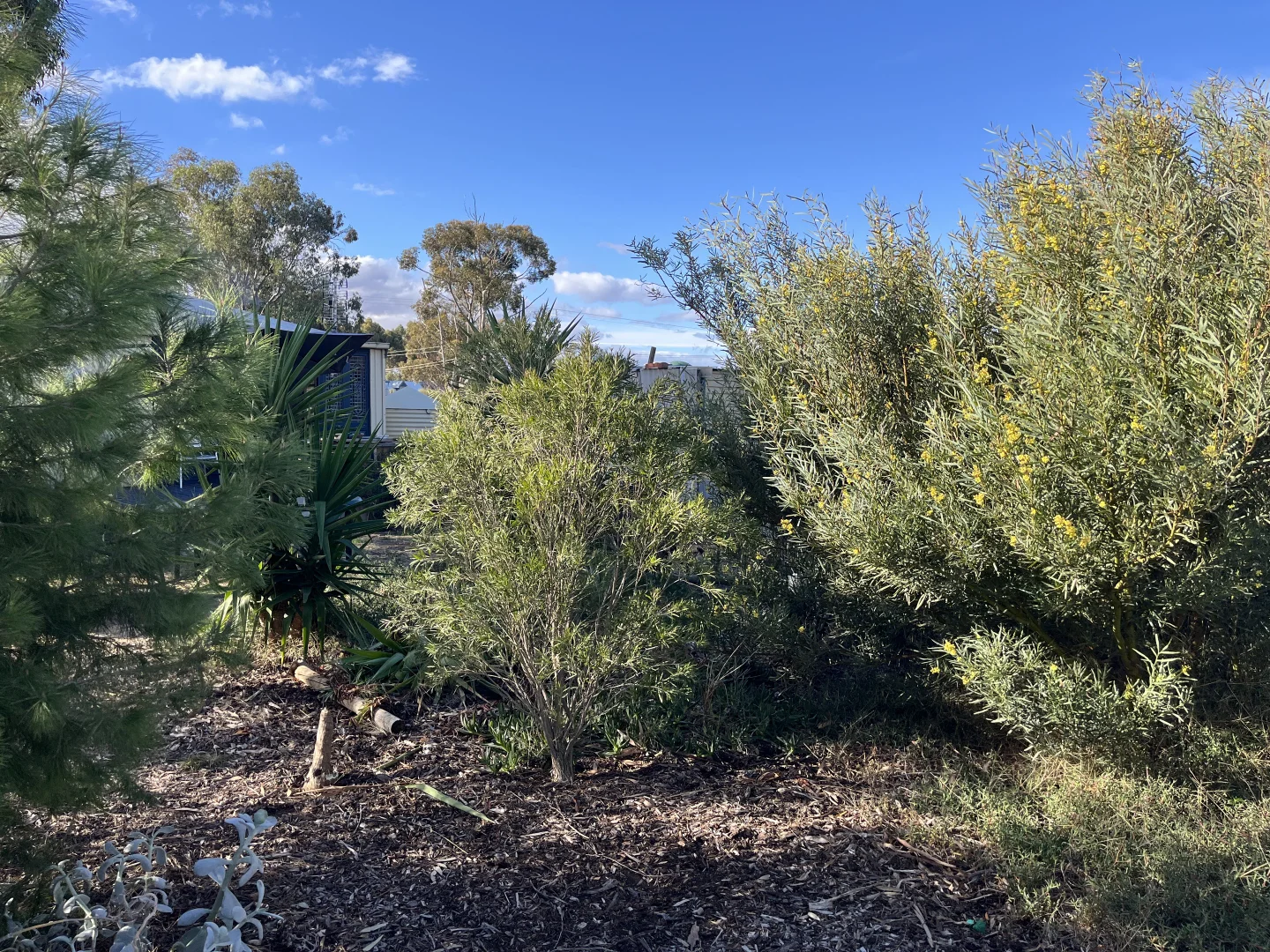 Additional image 33 of 3 Netherby Baker rd, Netherby VIC 3418