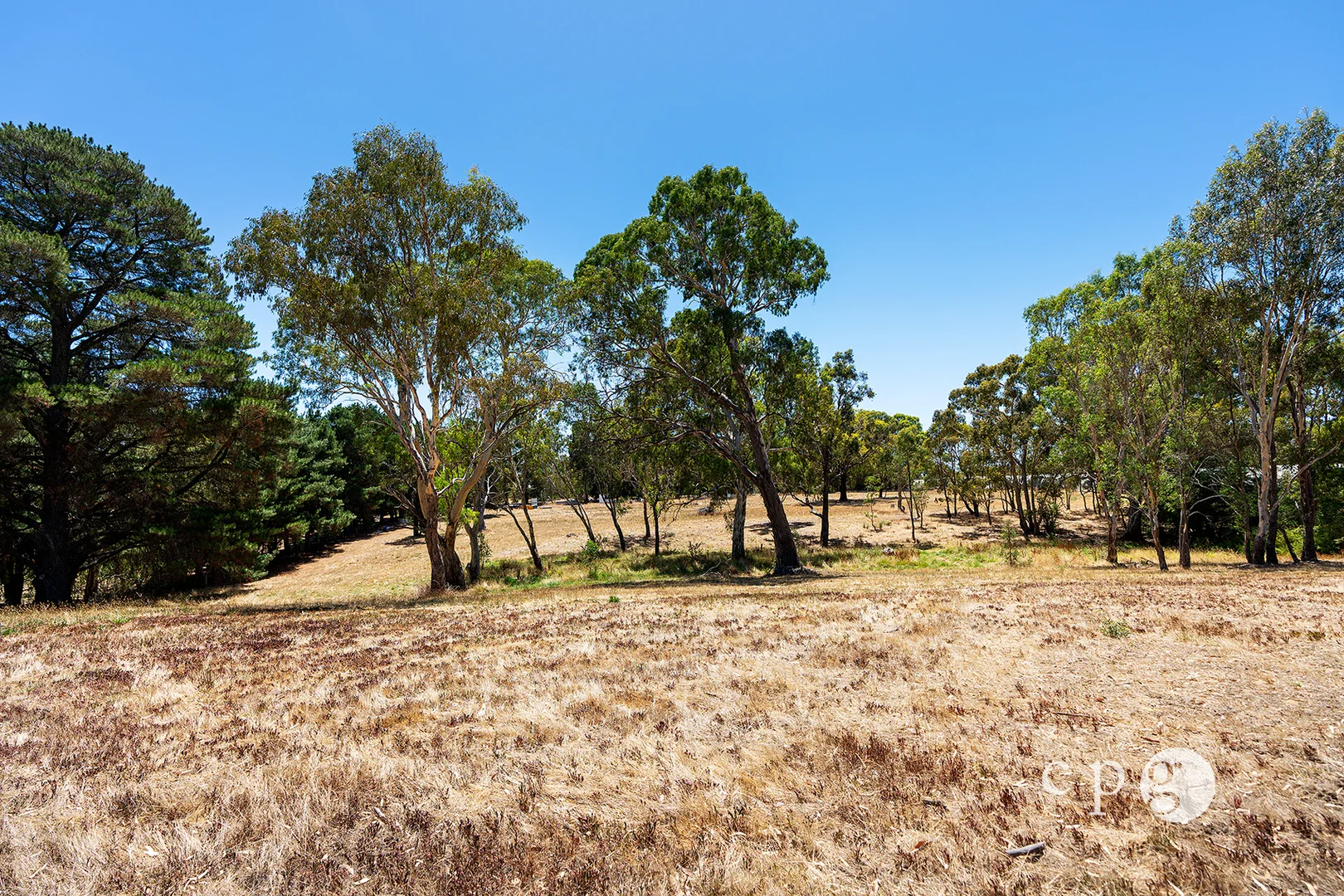 Additional image 2 of 80 Mills Road, Harcourt VIC 3453