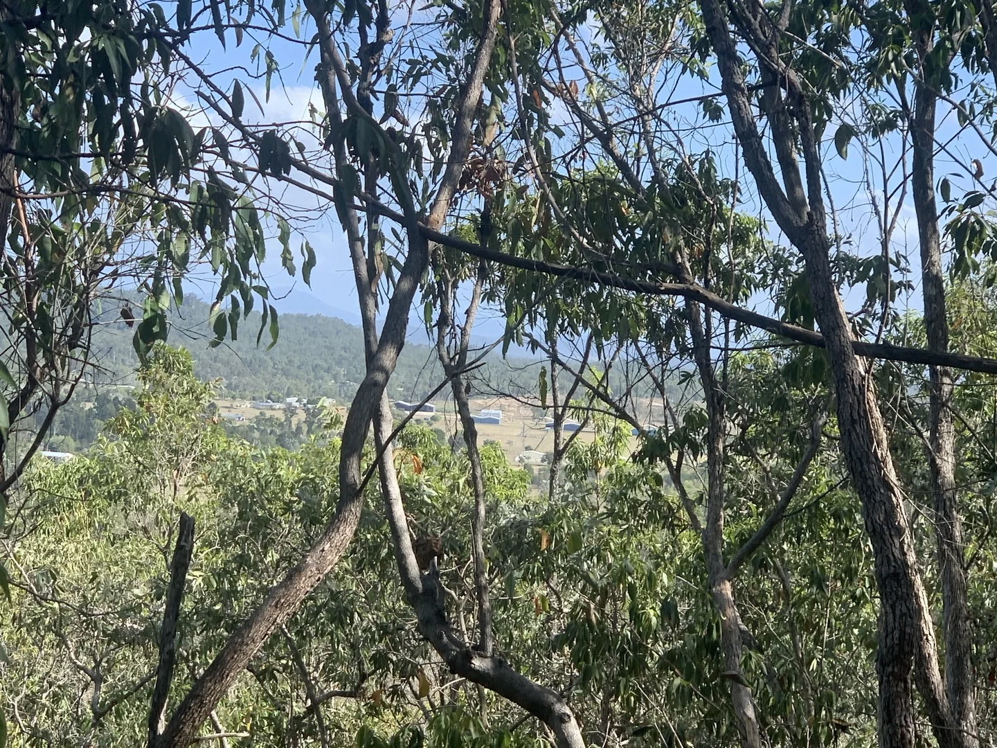 Additional image 6 of LOT 36 Whitsunday Dr, Bloomsbury QLD 4799