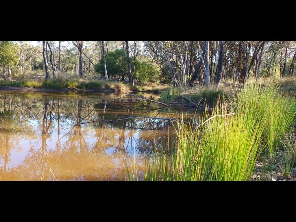 Additional image 5 of Limevale QLD 4384