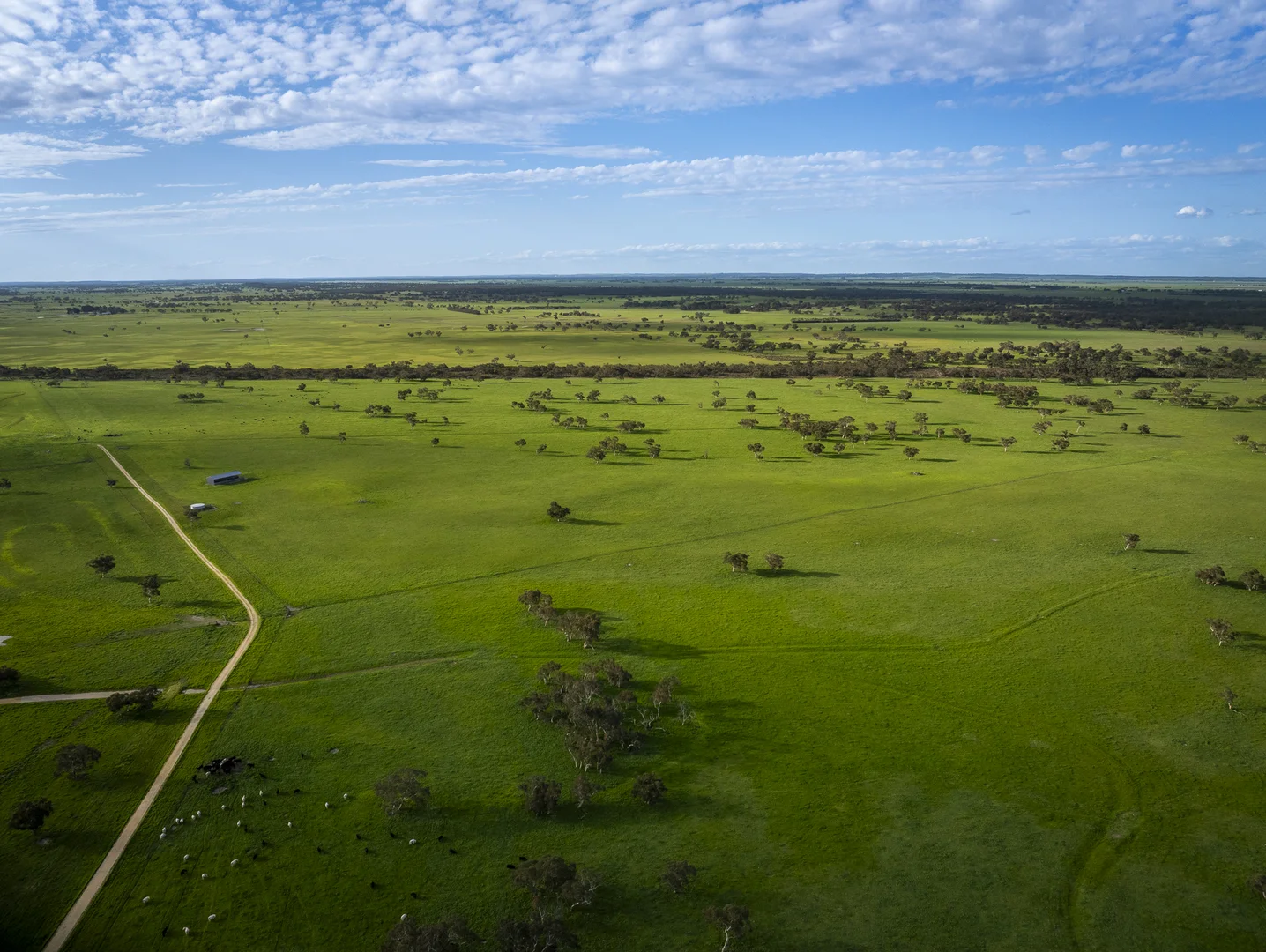 Additional image 17 of 325 Maranoa Downs Road, Stewart Range SA 5271