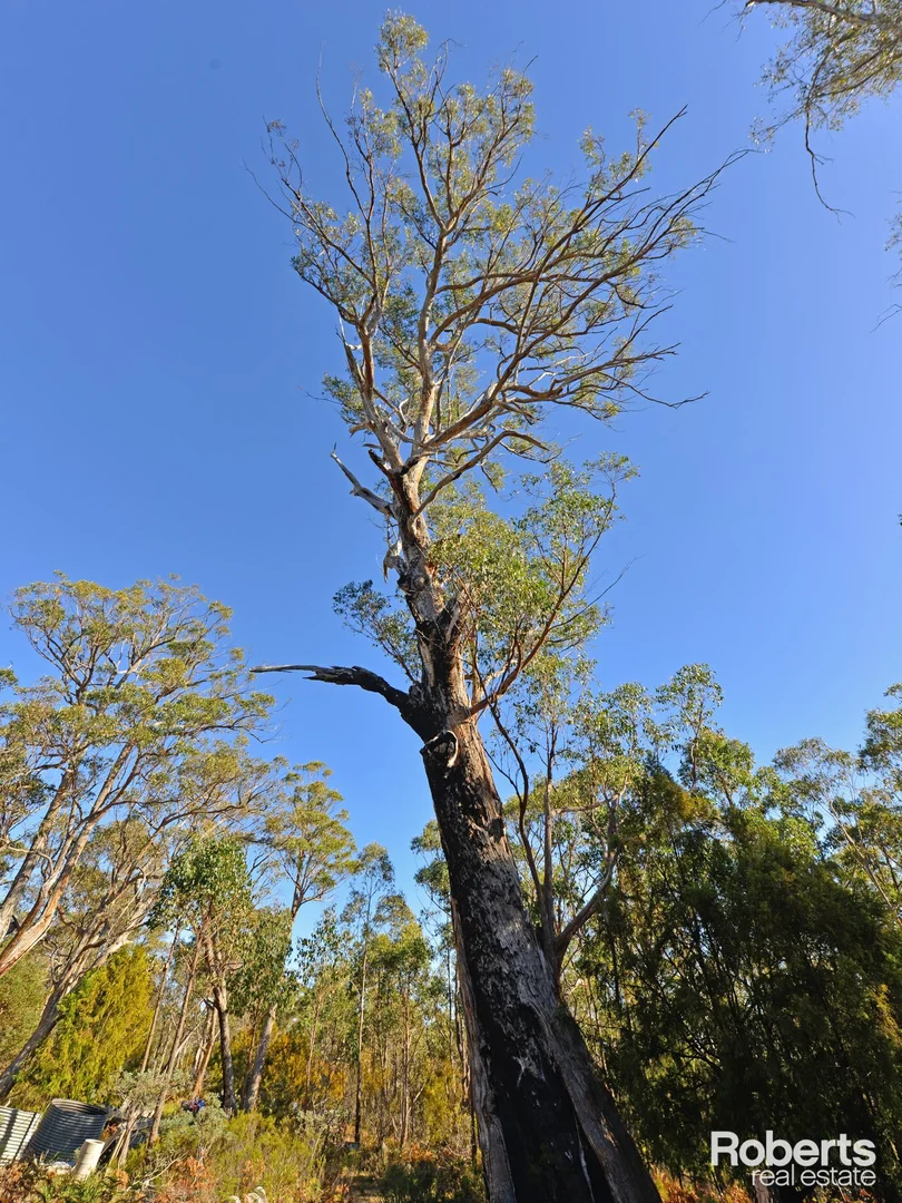 Additional image 14 of Fentonbury TAS 7140