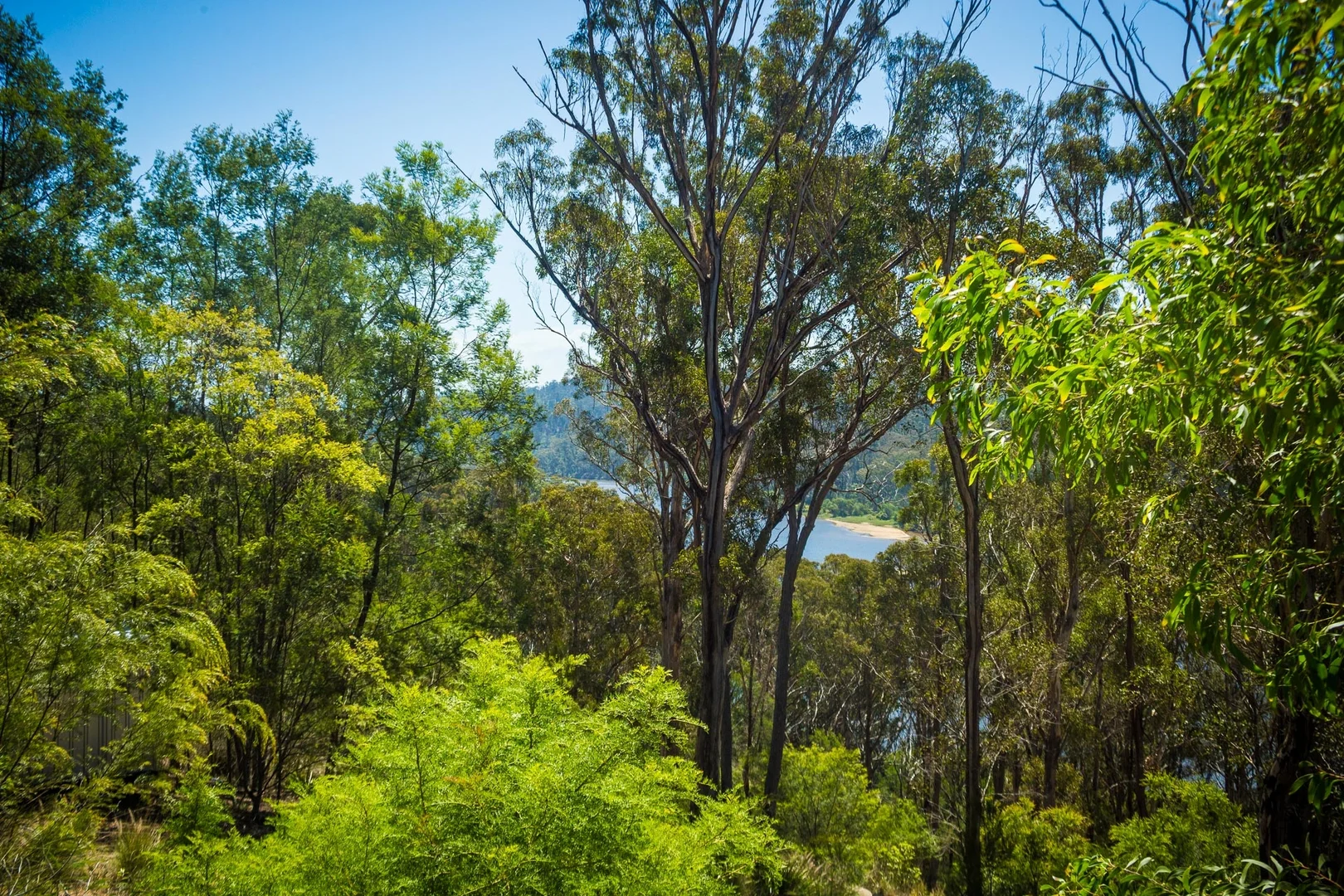 Additional image 9 of 3 Thompson Drive, Tathra NSW 2550