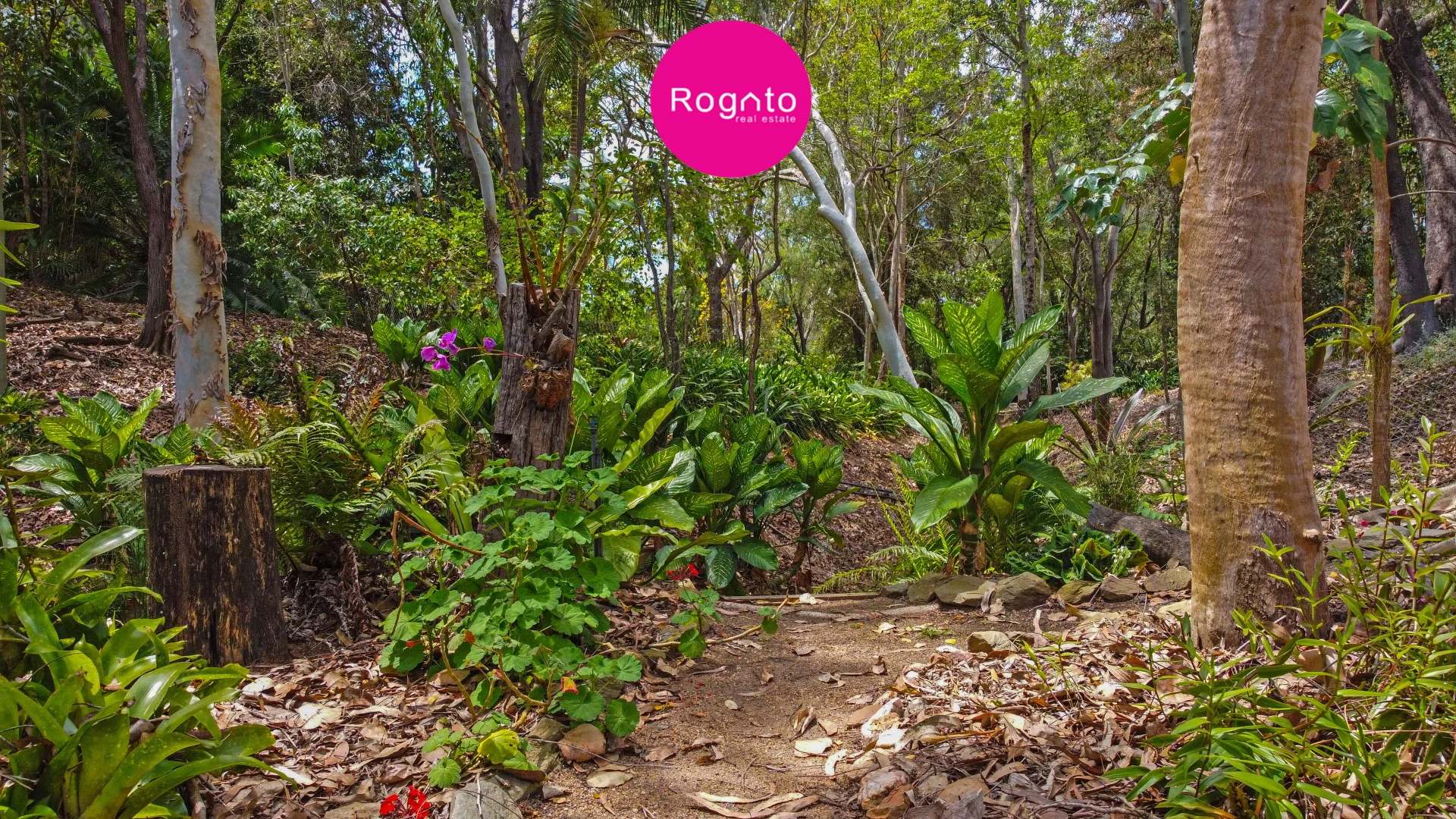 Additional image 24 of 44 Emerald End Close, Mareeba QLD 4880