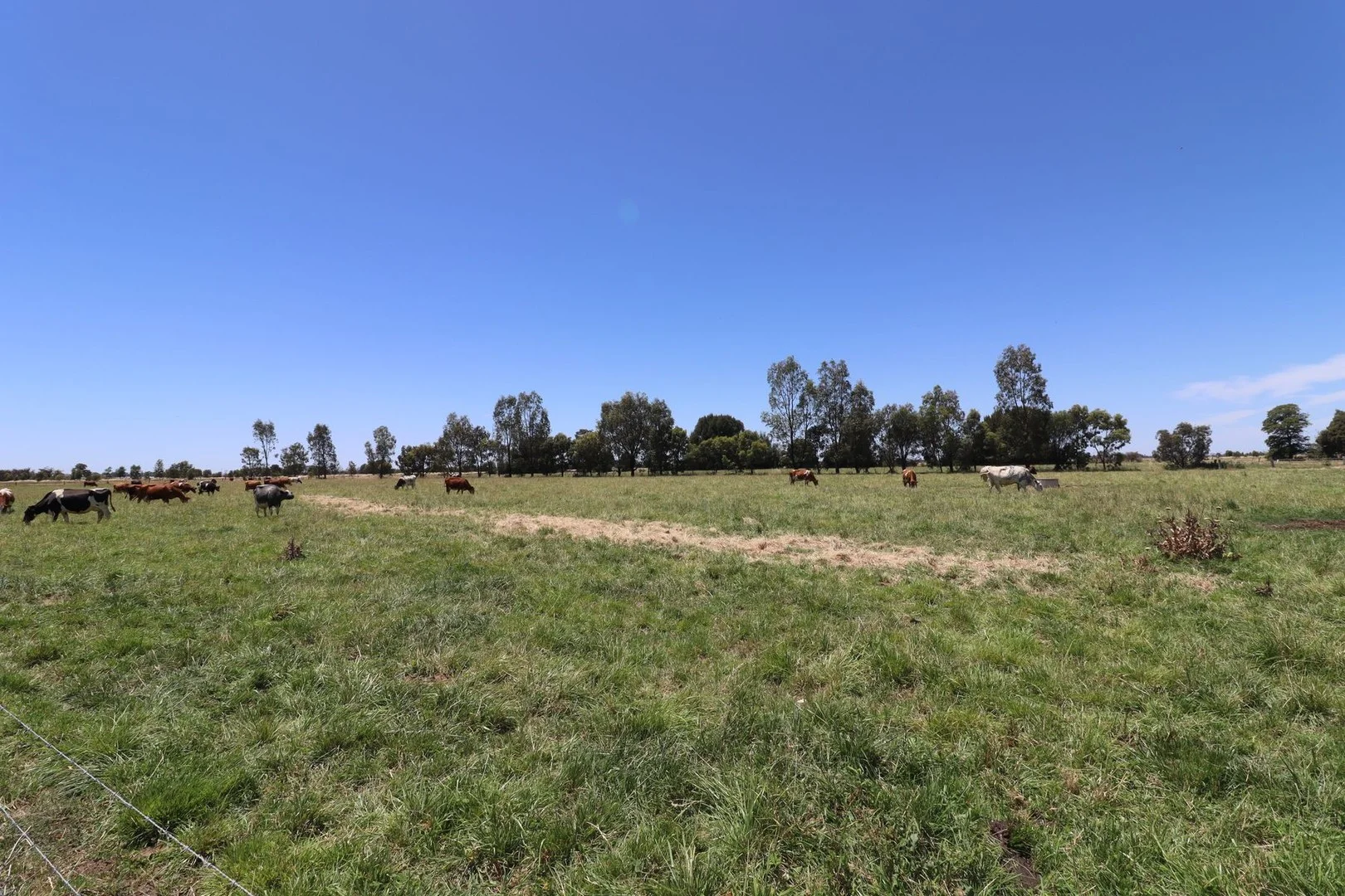 1899 Leitchville-Kerang Road, Macorna North VIC 3568