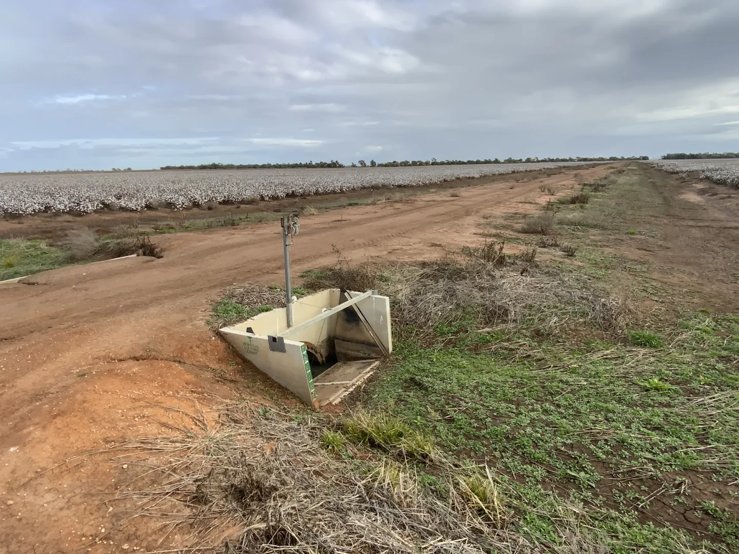Additional image 16 of Part Farm 1082, 1386 Murrami Road, Leeton NSW 2705