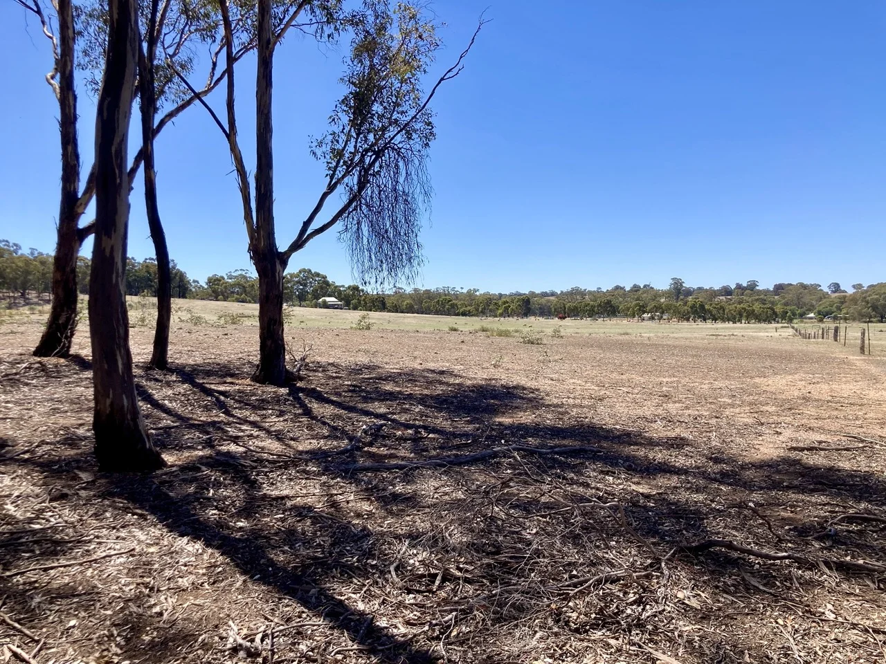 Additional image 27 of 355 Lillicur Road, Amherst VIC 3371