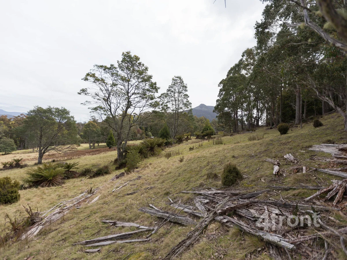 Additional image 19 of 1 and 2/141 Tiers View Road, Golden Valley TAS 7304