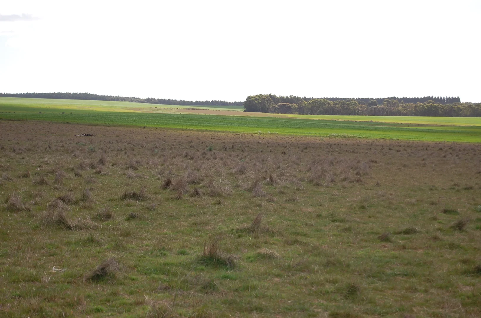 Additional image 6 of 1715 Coxalll Road, Munglinup WA 6450