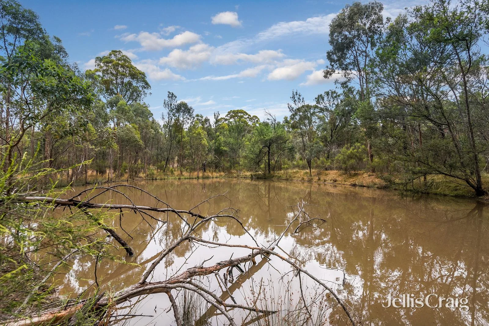 Additional image 8 of 64 Buntins Road, Elphinstone VIC 3448