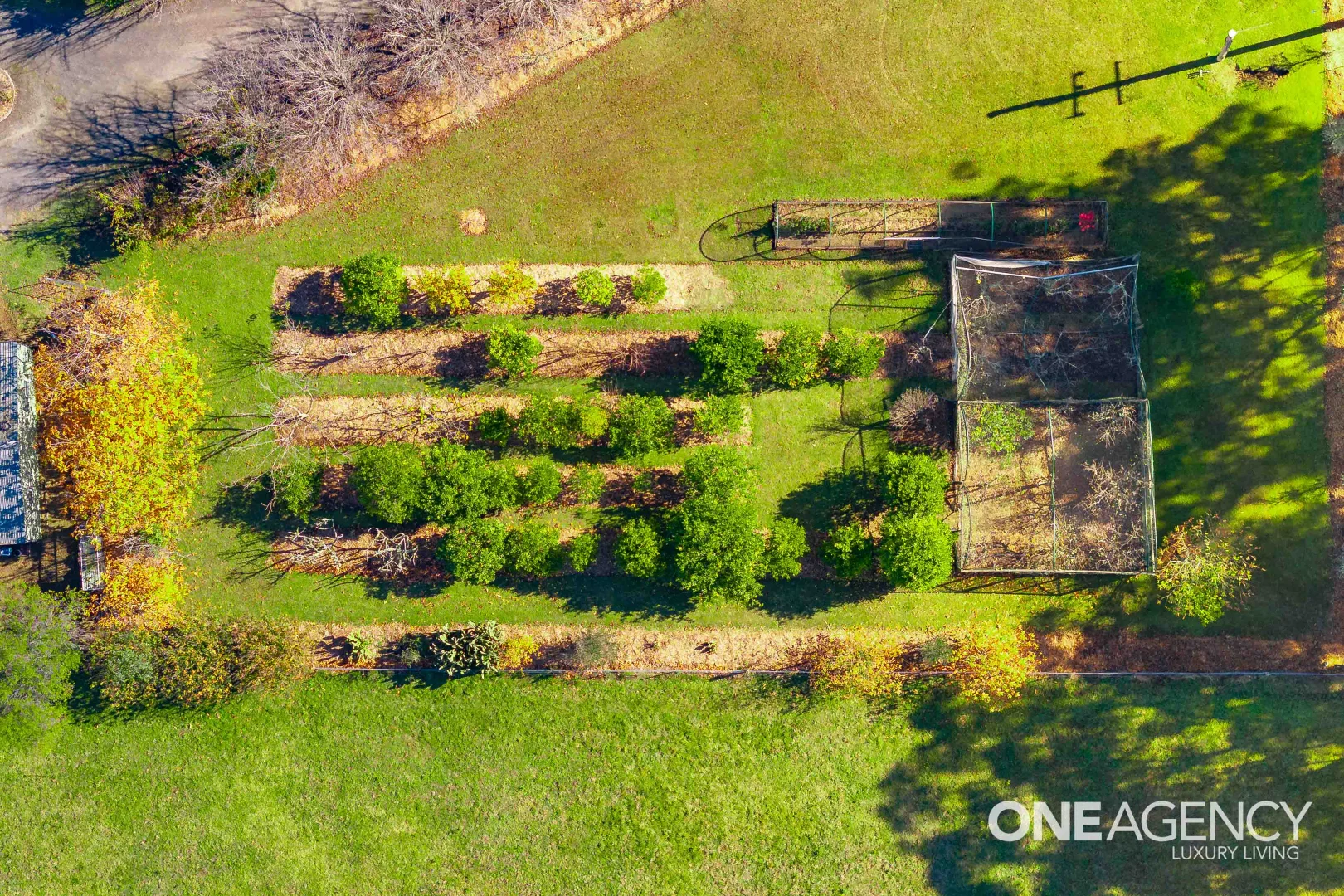 Additional image 16 of 353 Bendeela Road, Kangaroo Valley NSW 2577