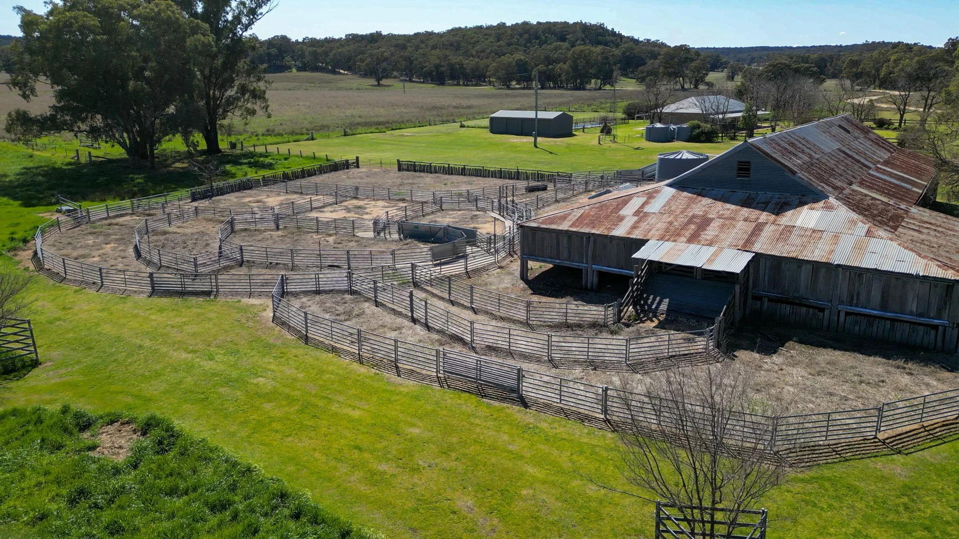 Additional image 8 of 1799 Digilah Road, Dunedoo NSW 2844