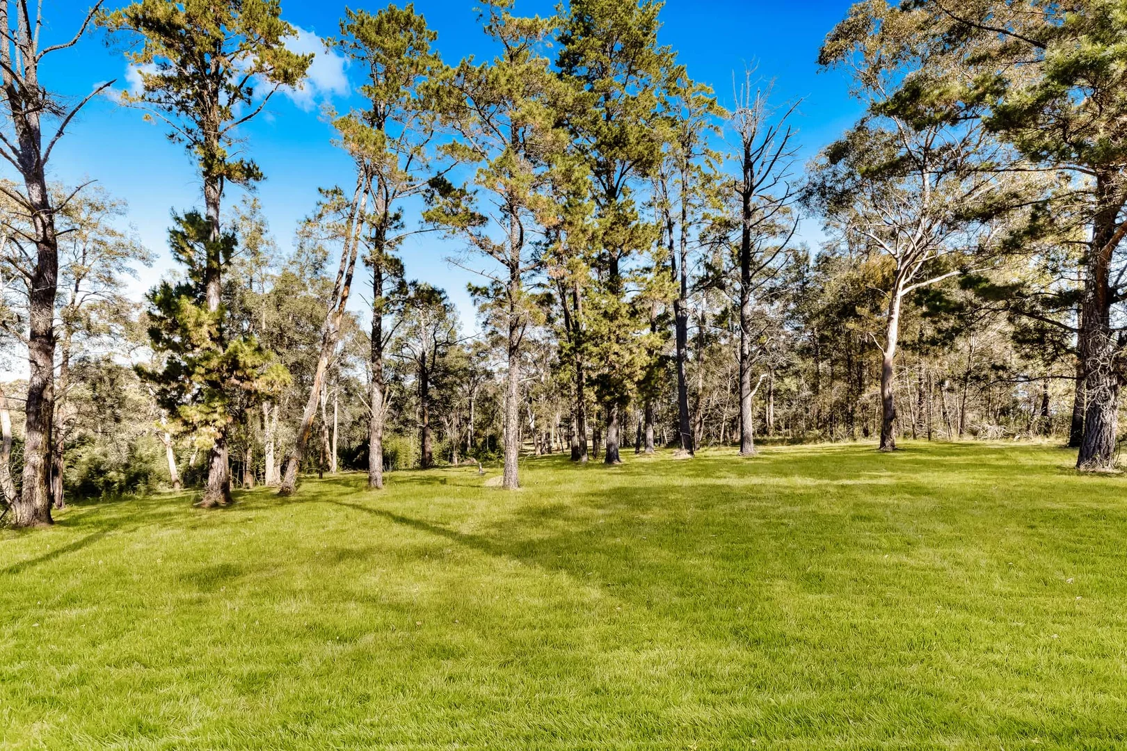 Additional image 12 of Vesperman Road, Glenorie NSW 2157