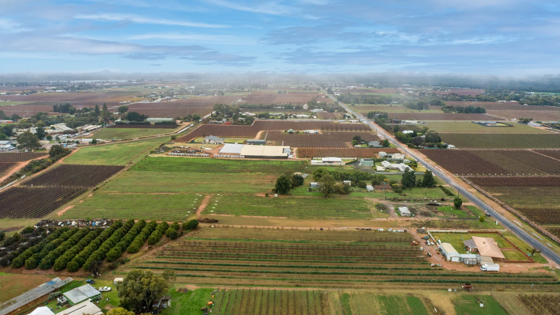 Additional image 4 of 551 Irymple Avenue, Irymple VIC 3498