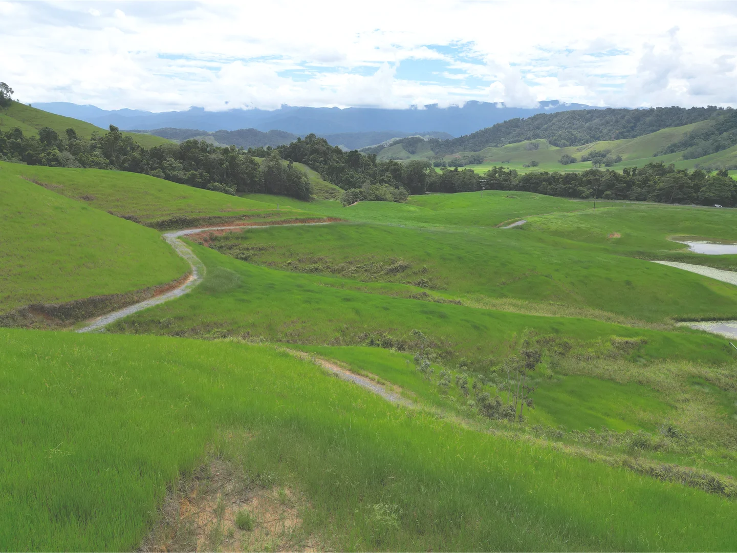 Additional image 14 of 141 Stewart Creek Road, Stewart Creek Valley, Daintree QLD 4873