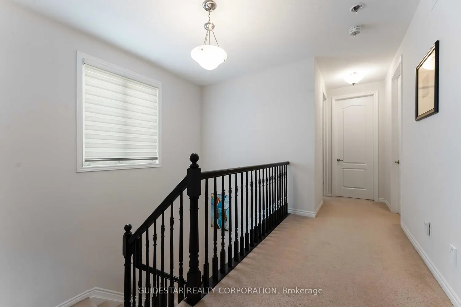 Additional image 8 of 30 Oxalis Crescent