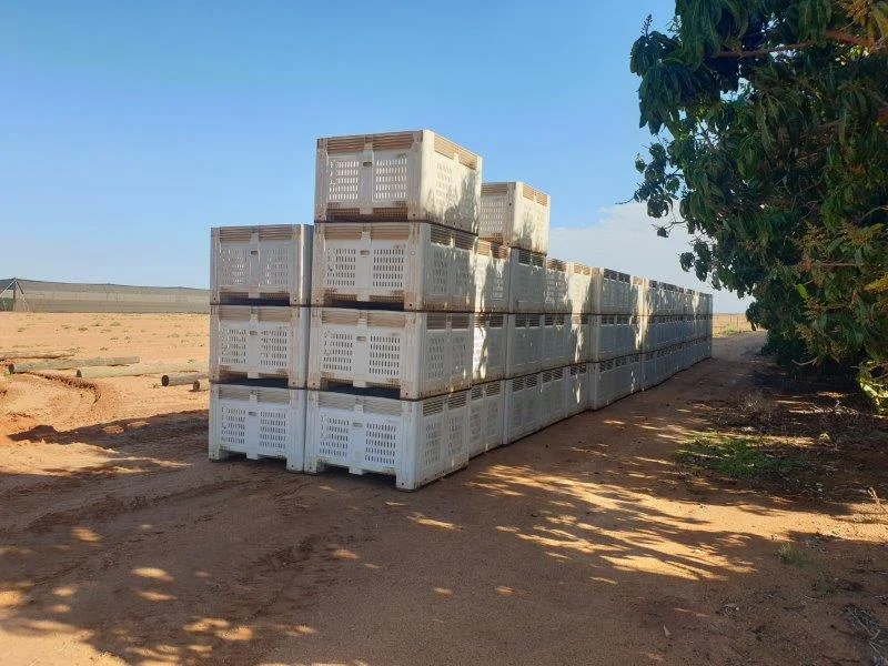 Additional image 8 of 137 North River Road, North Plantations WA 6701