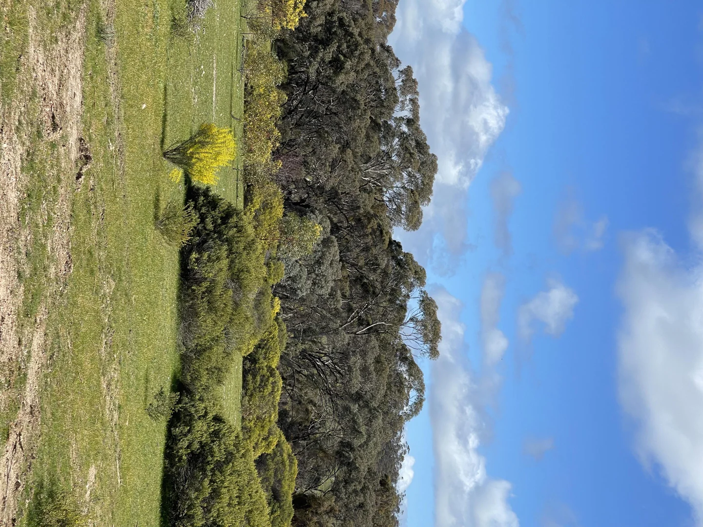 Additional image 21 of 6803 Calder Highway, Wedderburn VIC 3518