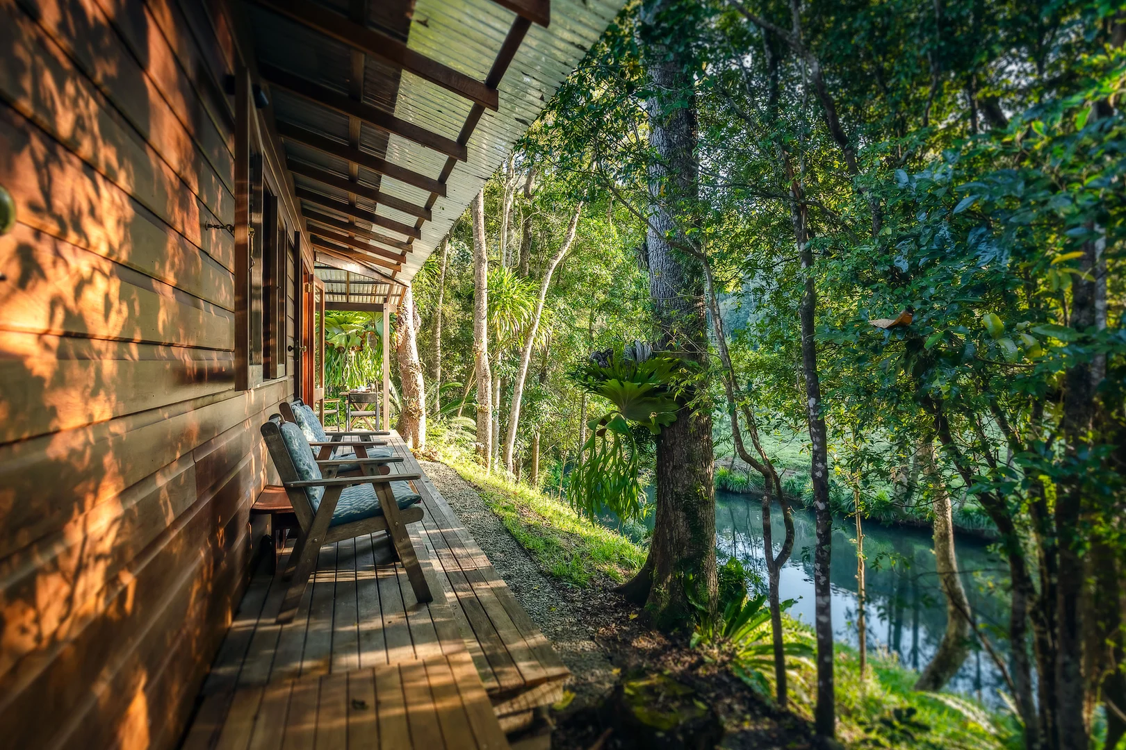 Additional image 16 of 1458 Darkwood Road, Bellingen NSW 2454