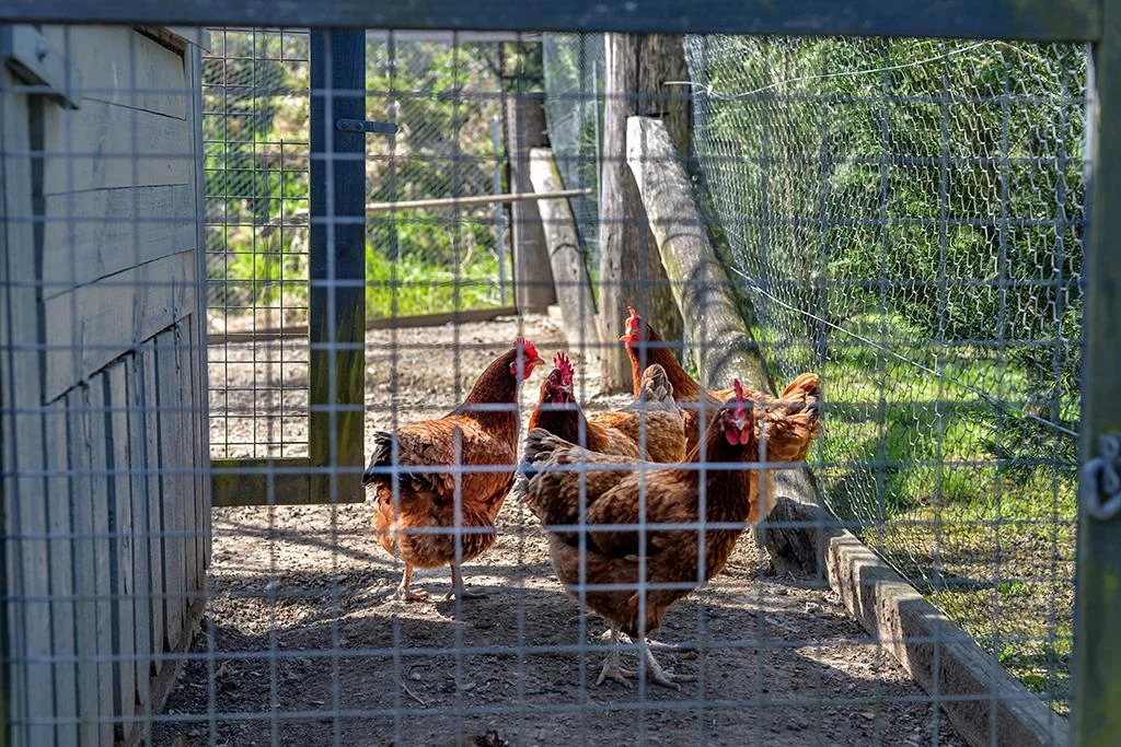 Additional image 17 of 83C Penrose Road, Bundanoon NSW 2578