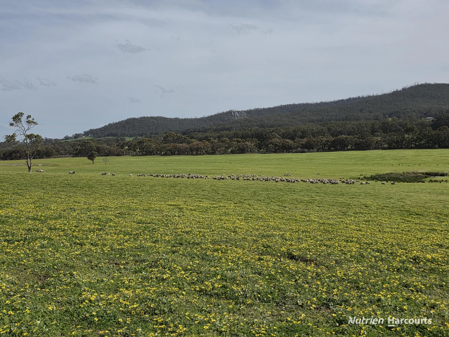 Additional image 58 of 4038 & 4184 Chesterpass Road, Takalarup WA 6324