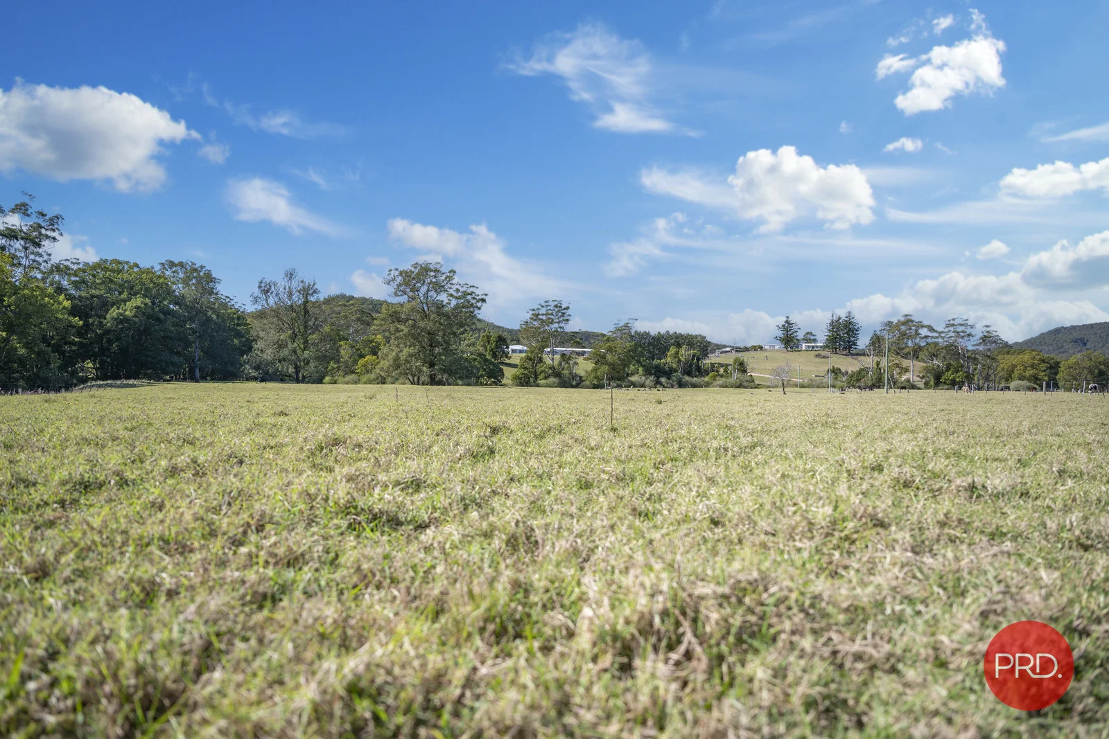 Additional image 19 of 441 Eastbank Road, Coramba NSW 2450