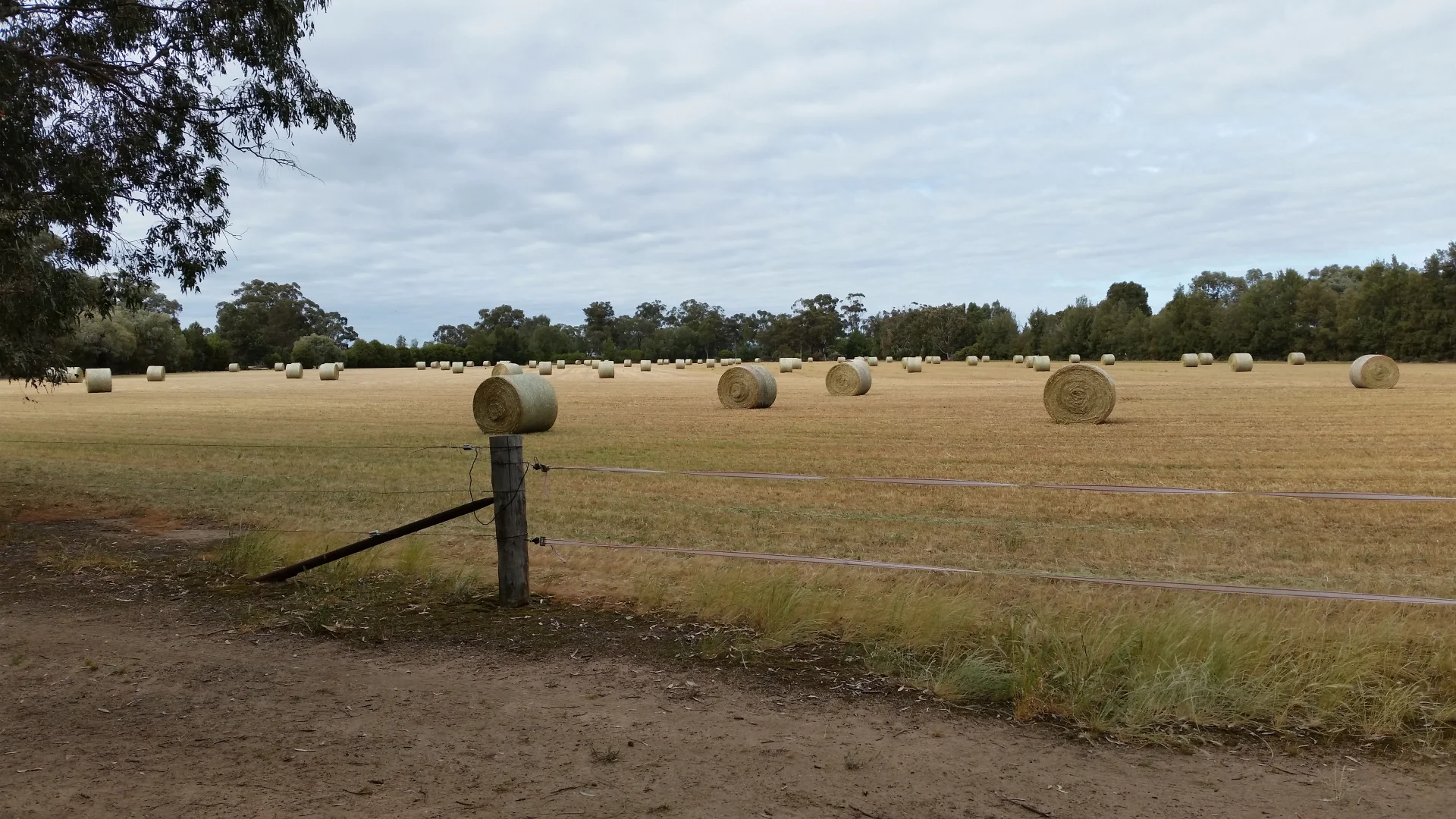 Additional image 21 of 140 Waggarandall Road, Yundool VIC 3727