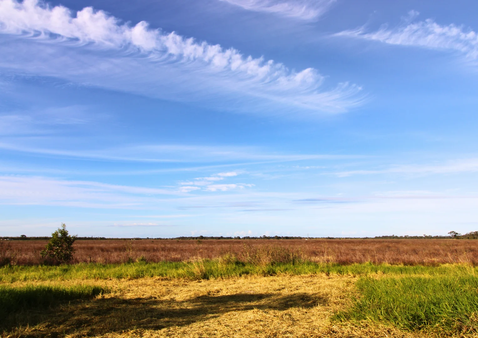 Additional image 18 of 4174 Goodwood Road, Alloway QLD 4670