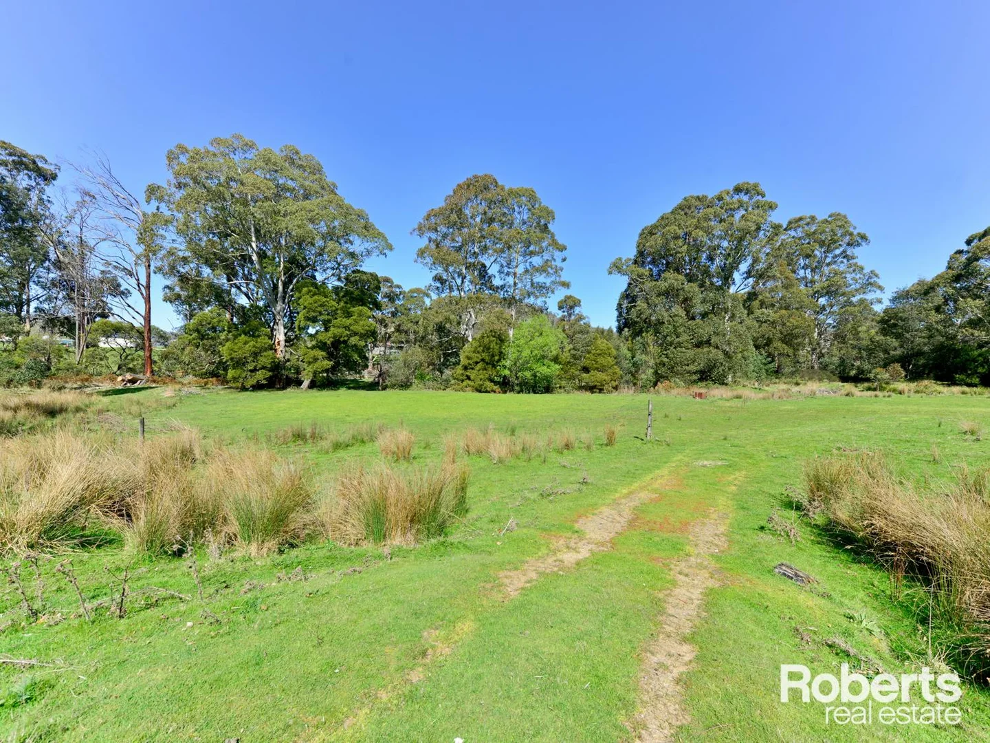 Additional image 16 of 111 Dillons Road, Ellendale TAS 7140