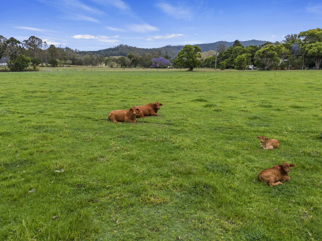 Additional image 2 of LOT 5 - 182 Kenilworth-Brooloo Road, Kenilworth QLD 4574