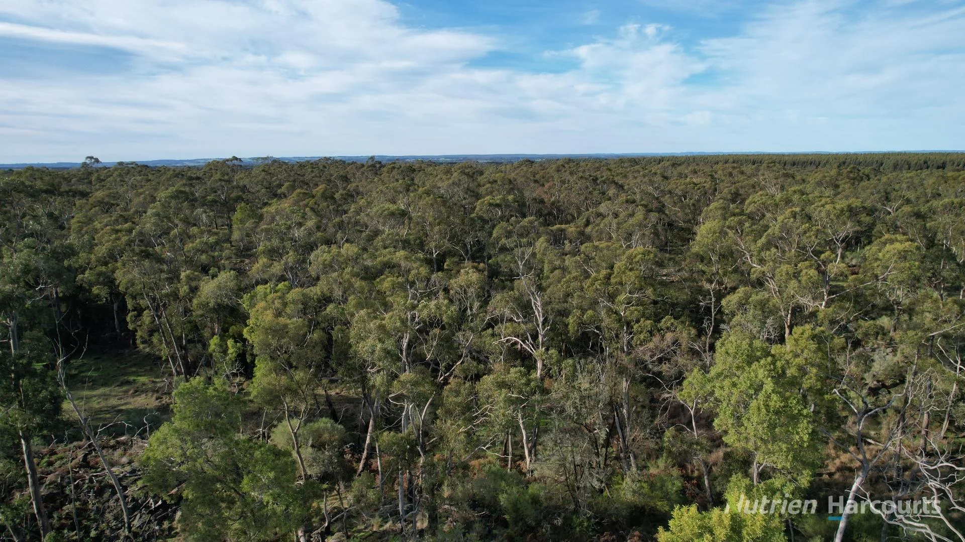 Additional image 6 of 1805 Princes Highway, Pirron Yallock VIC 3249