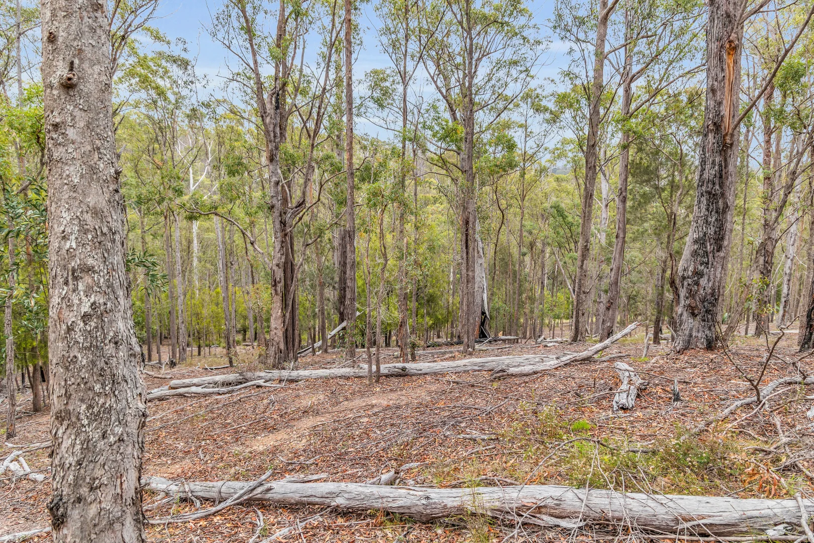 Additional image 9 of 82 Barrabooka North Road, Tanja NSW 2550
