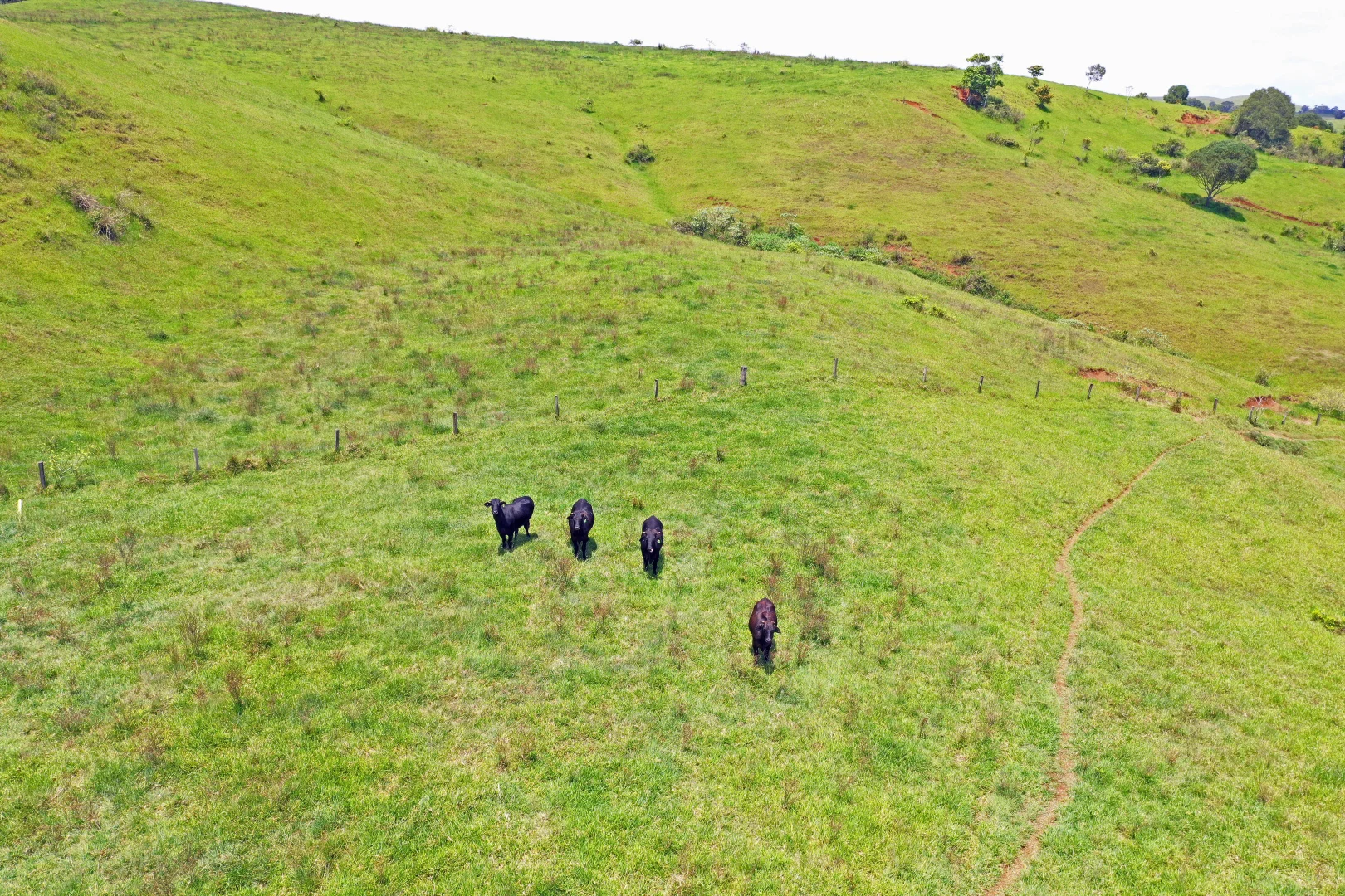 Additional image 8 of 343 Gadaloff Road, Butchers Creek QLD 4885