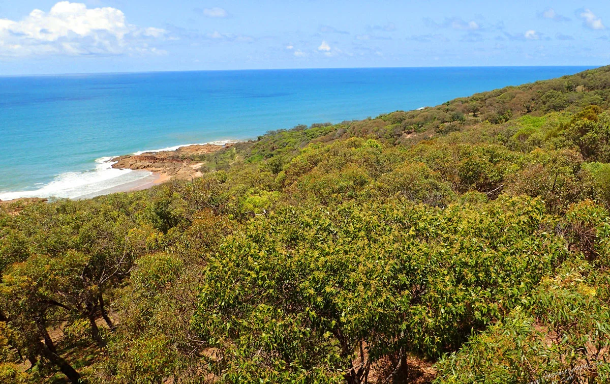 Additional image 37 of 41 Grevillia Court, Agnes Water QLD 4677