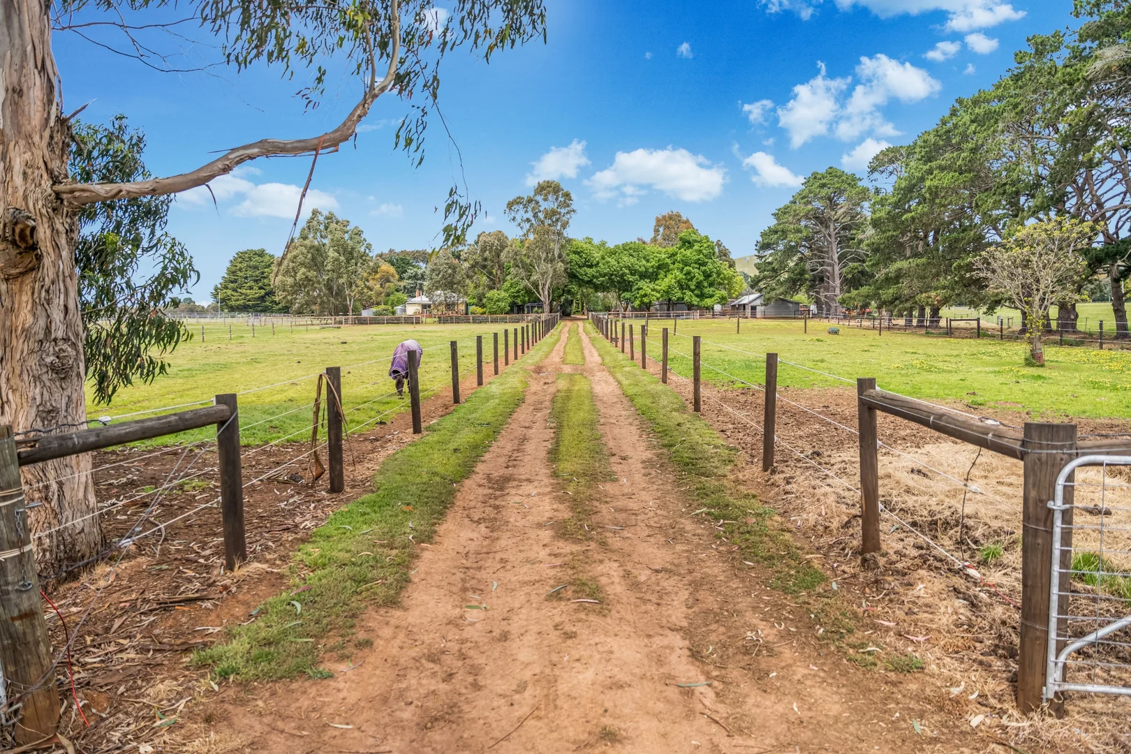 Additional image 23 of 17 Camerons Lane, Waubra VIC 3352