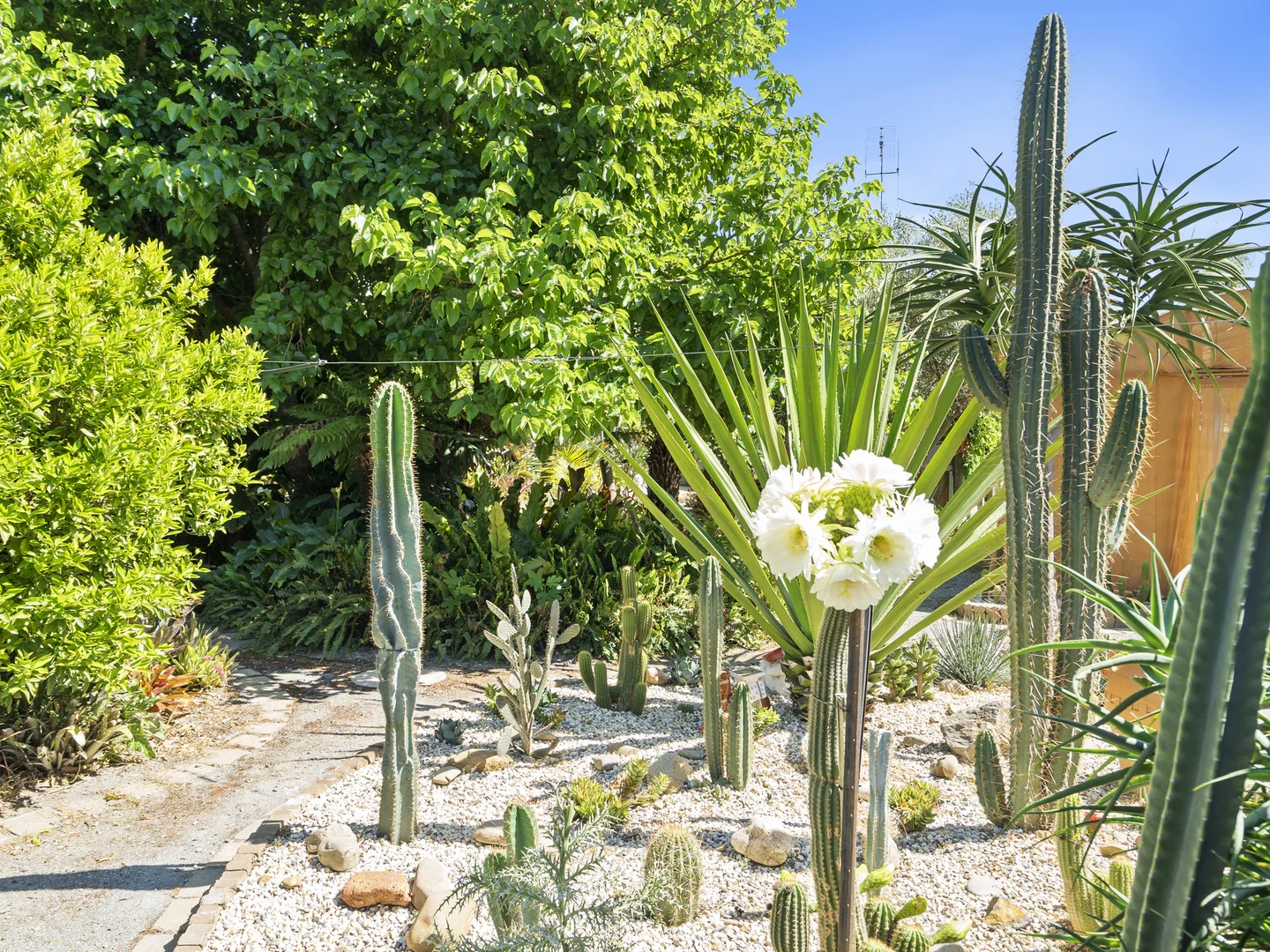 Additional image 25 of 18 Browne Street, Tocumwal NSW 2714