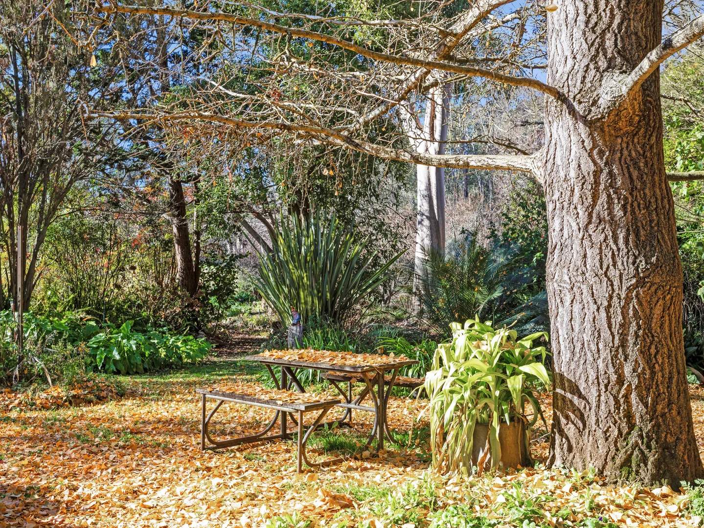 Additional image 6 of 34 Enders Lane, Carboor VIC 3678