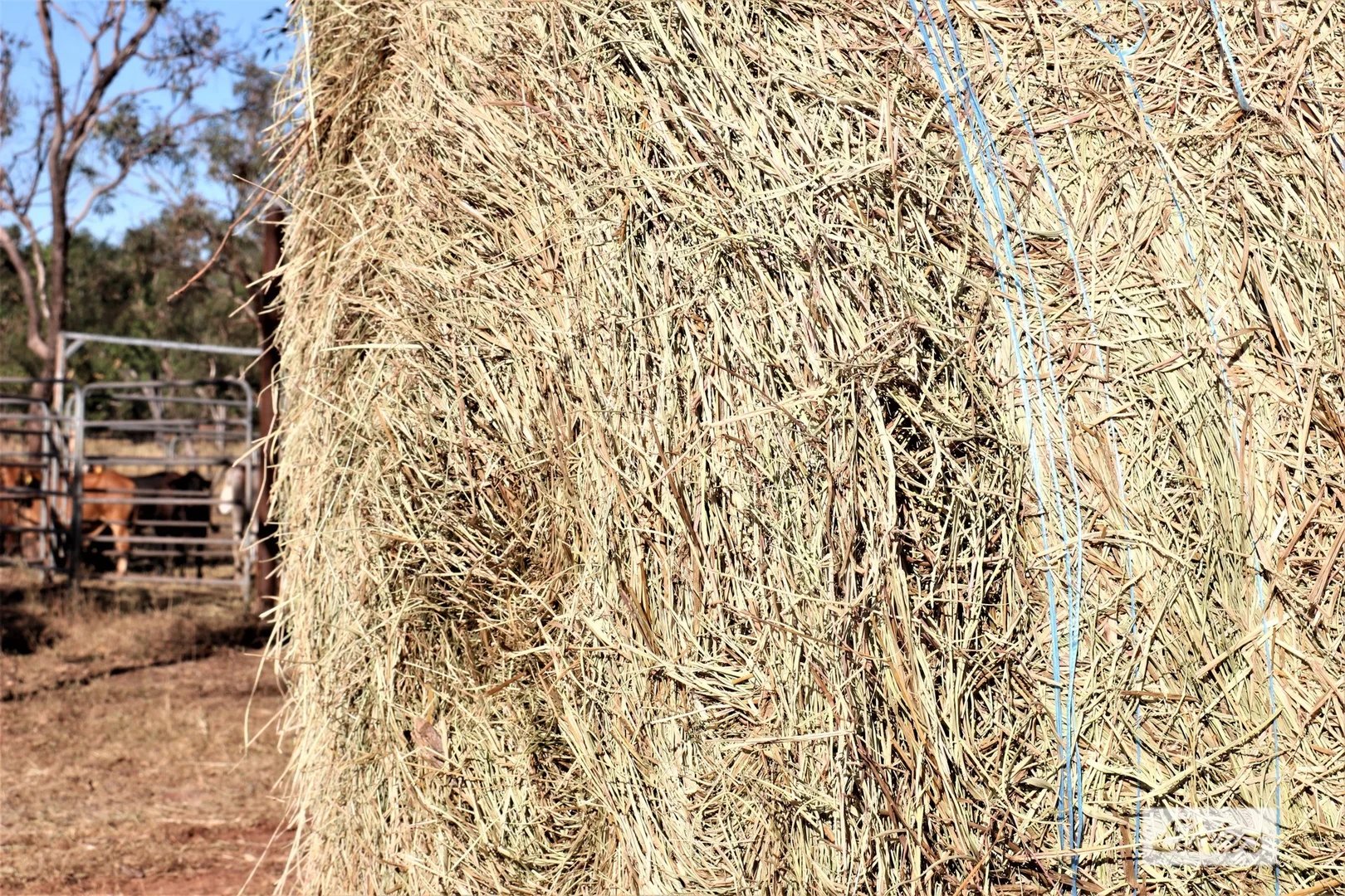 Additional image 6 of 965 Strickland Road, Adelaide River NT 0846