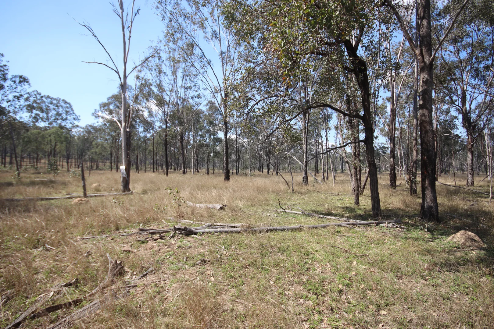 Additional image 5 of Lot D Mundubbera Durong Road, Brovinia QLD 4626