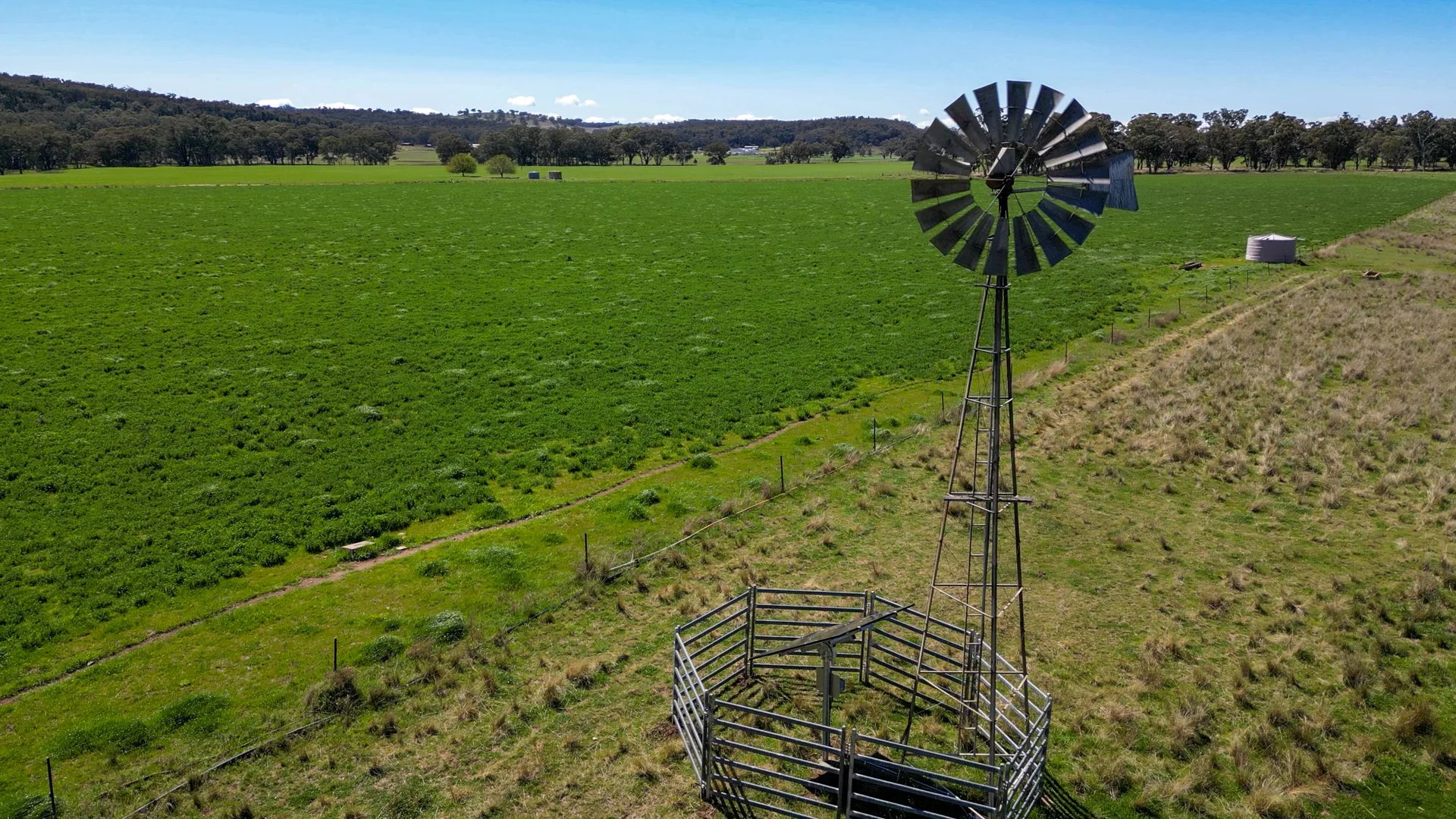 Additional image 6 of 1799 Digilah Road, Dunedoo NSW 2844