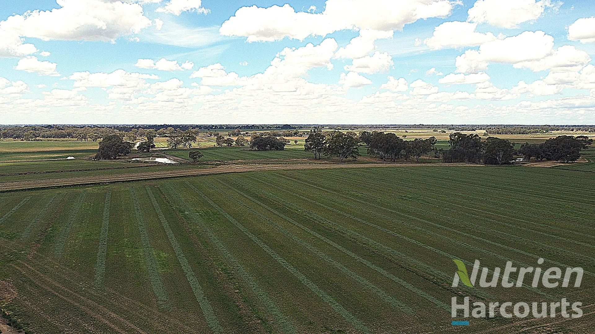 Additional image 4 of . Echuca Nanneella Road, Nanneella VIC 3561