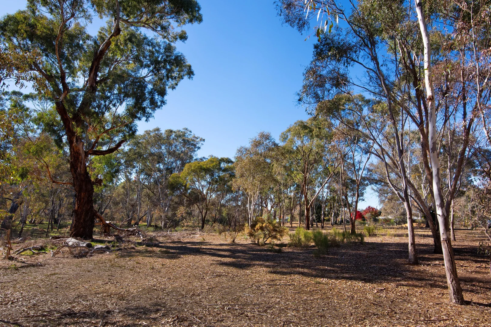 Additional image 4 of 13a Homebush Drive, Junortoun VIC 3551