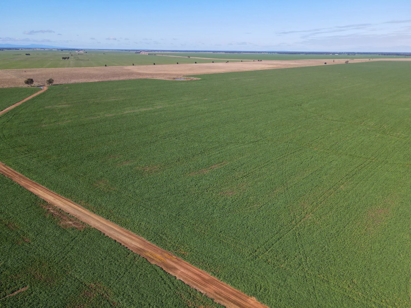 Additional image 10 of 'Williams Crossing' 139 Harris Lane, Quandialla NSW 2721