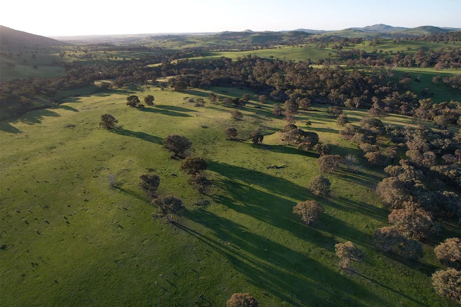 Additional image 4 of 0 Glengarry Road, Binalong NSW 2584