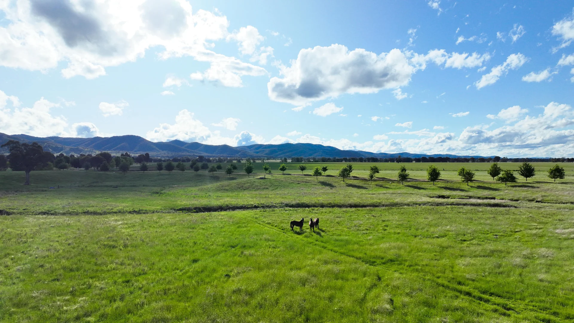 Additional image 5 of Lot 1, 312 Castlereagh Highway, Mudgee NSW 2850