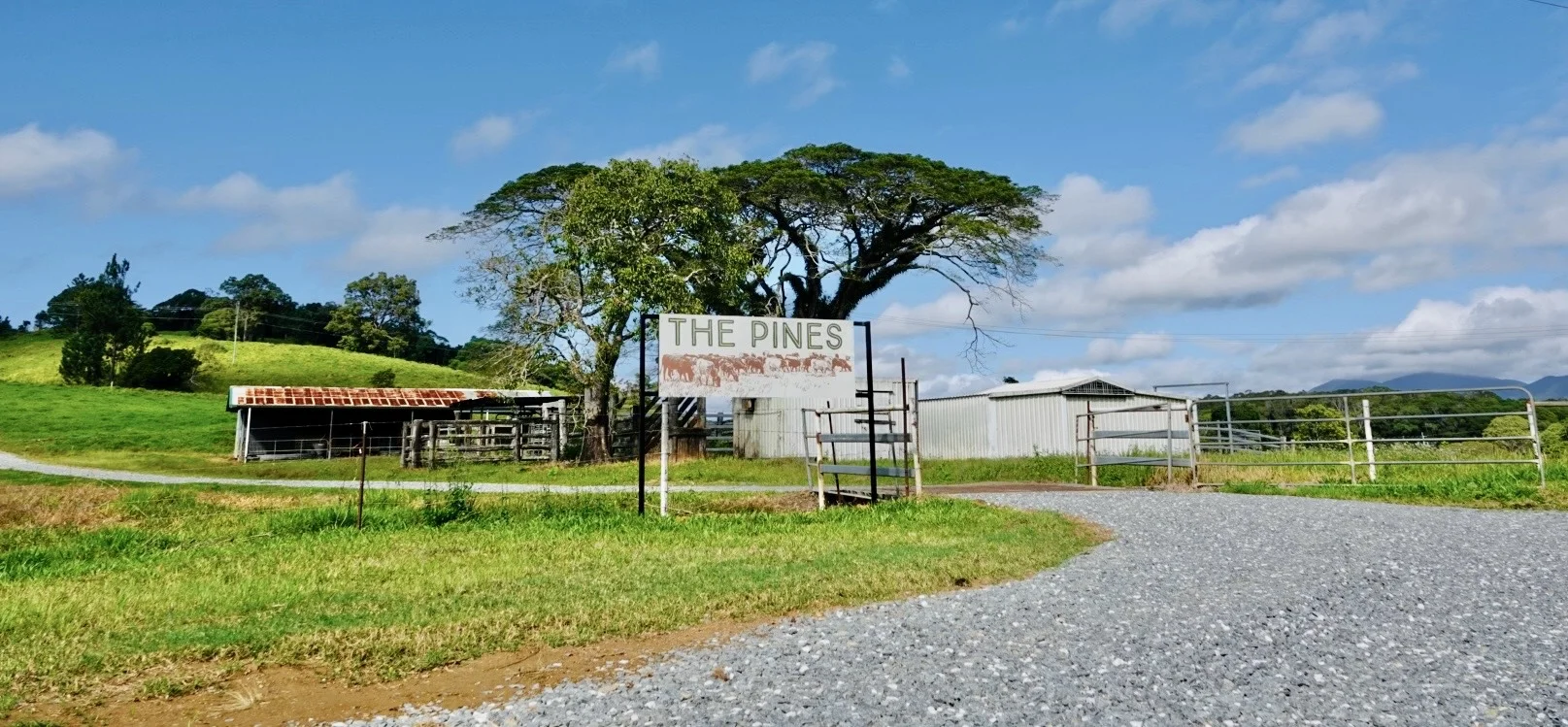 Additional image 4 of 1297 Mossman - Mt Molloy Rd, Julatten QLD 4871