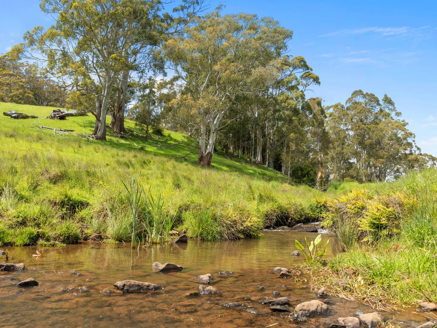 Additional image 26 of 69 Meads Road, Melrose TAS 7310
