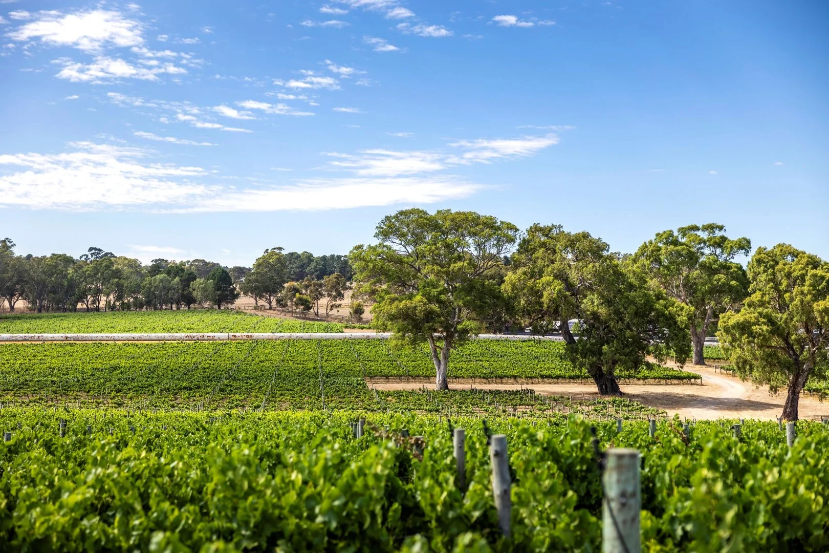 1282 Torrens Valley Road, Birdwood SA 5234