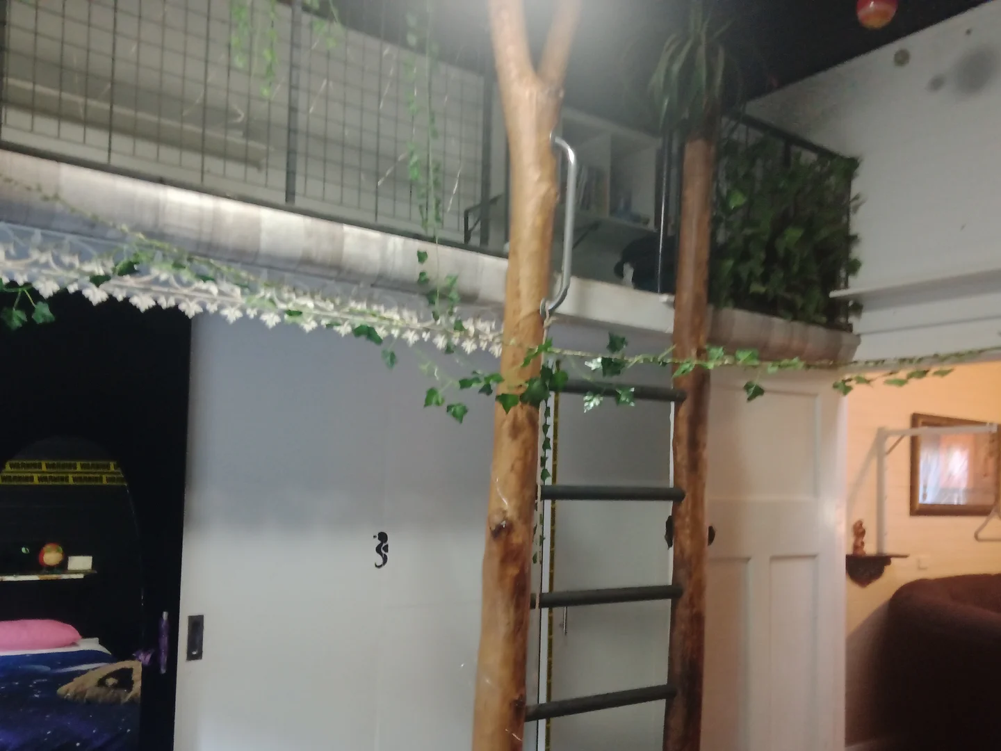 Additional image 20 of 538 Missabotti Road, Missabotti NSW 2449