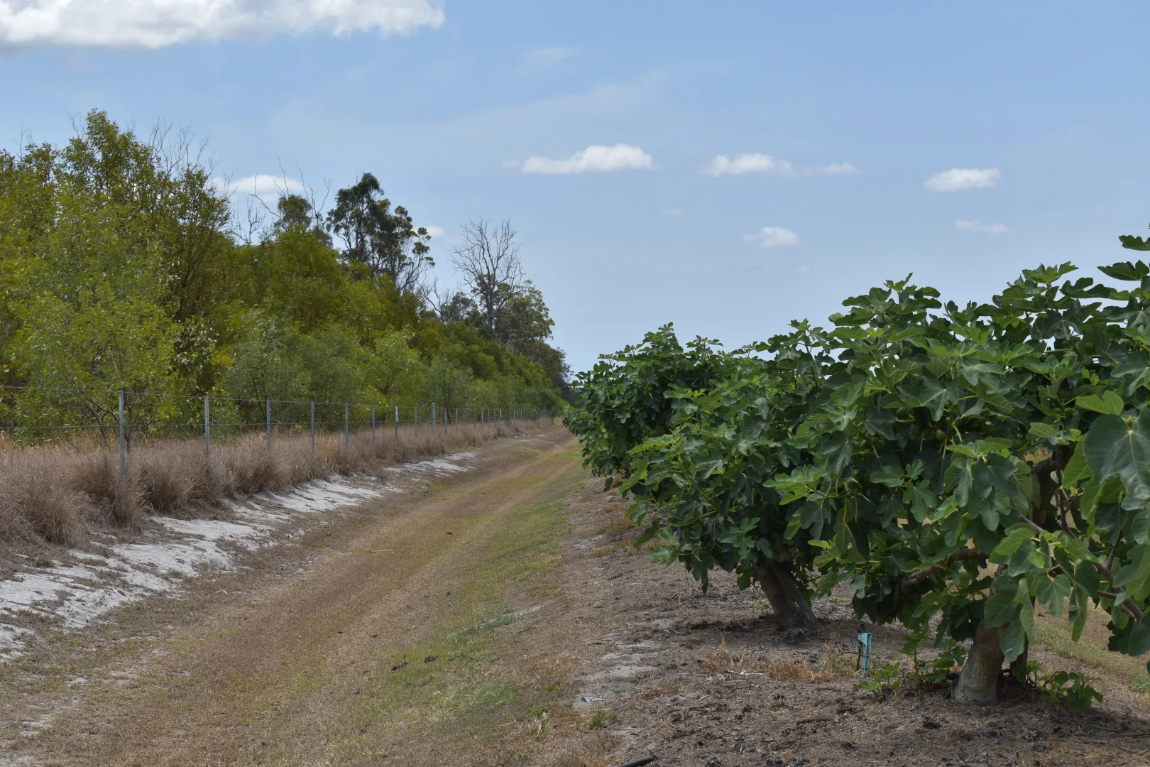 Additional image 7 of 135 Newlands Road, North Gregory QLD 4660